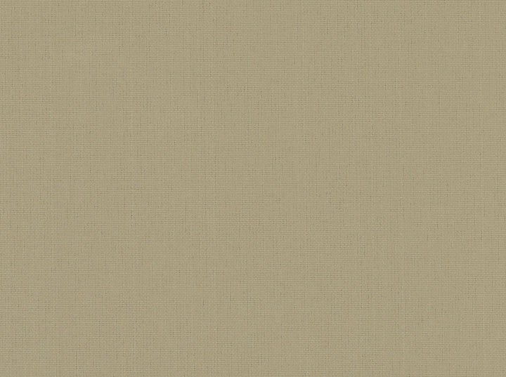 Sd-Pompano Beach 135 by Covington Fabric 100% POLYPROPYLENE MEX 50000 Horizontal: 0 and Vertical: 0 55 - Fabric Carolina -