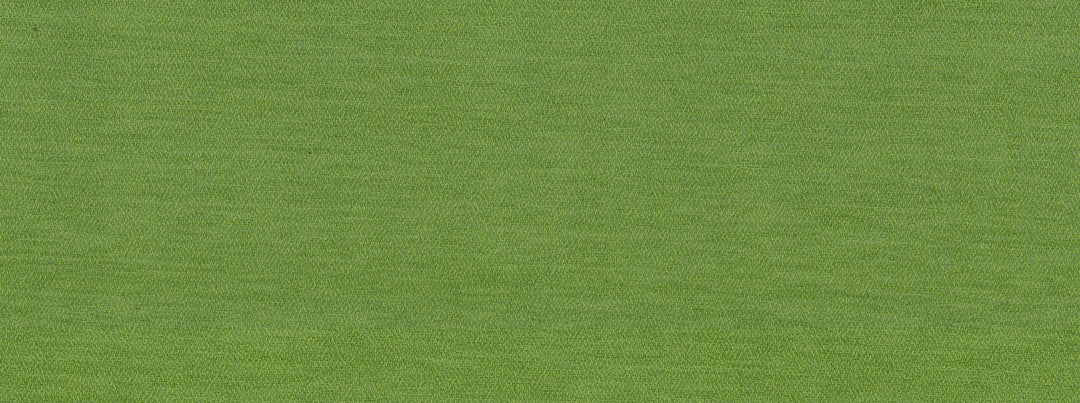 Sd-Skyzone 232 Palm by Covington Designer Fabric