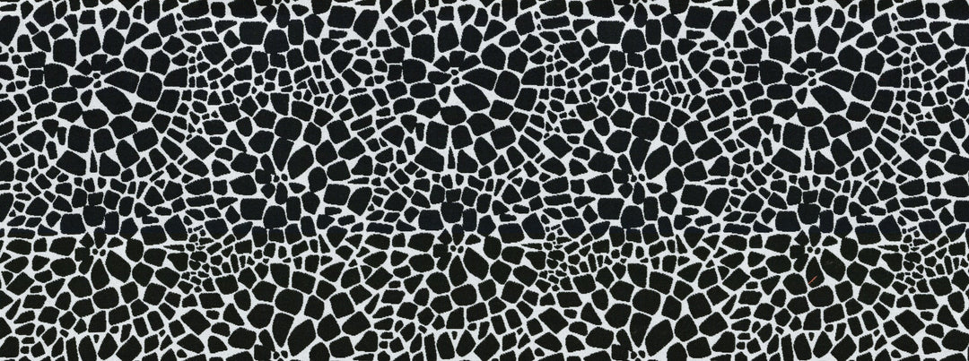 Sd-Turtle Back 916 Ebony/Ivory by Covington Designer Fabric