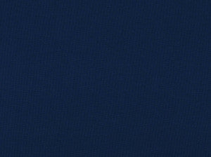 Sd-Zen Dk Denim 557 by Covington Fabric