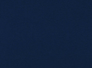 Sd-Zen Dk Denim 557 by Covington Fabric