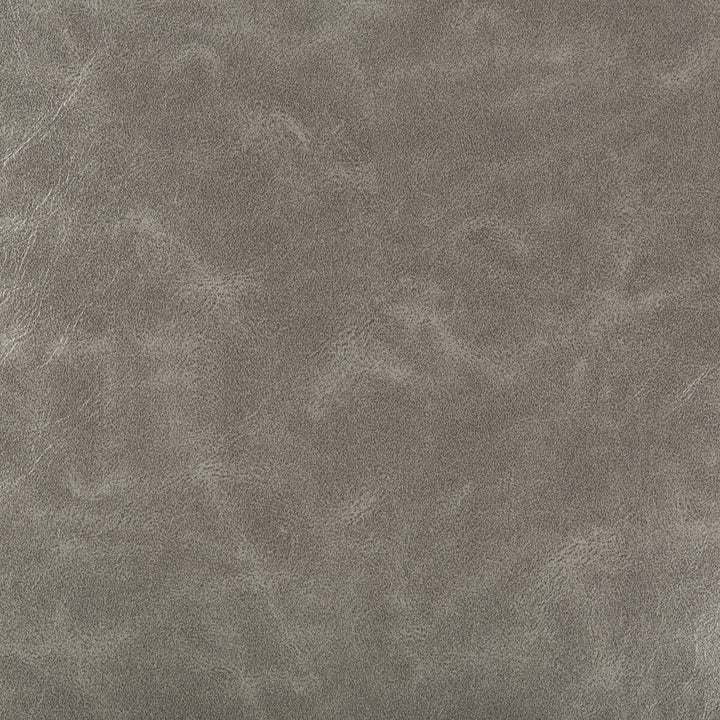 Seabiscuit-1611 by Kravet Design Fabric POLY VINYL CHLORIDE - 90%;POLYURETHANE - 10% China HEAVY Horizontal: 0 and Vertical: 0 54 - Fabric Carolina -