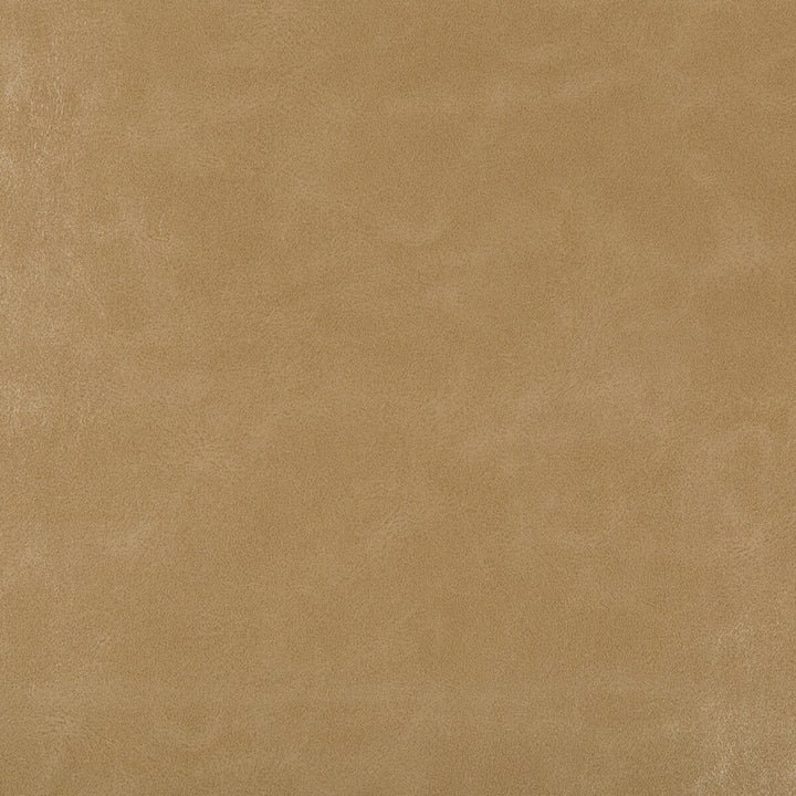 Seabiscuit-1616 by Kravet Design Fabric POLY VINYL CHLORIDE - 90%;POLYURETHANE - 10% China HEAVY Horizontal: 0 and Vertical: 0 54 - Fabric Carolina -