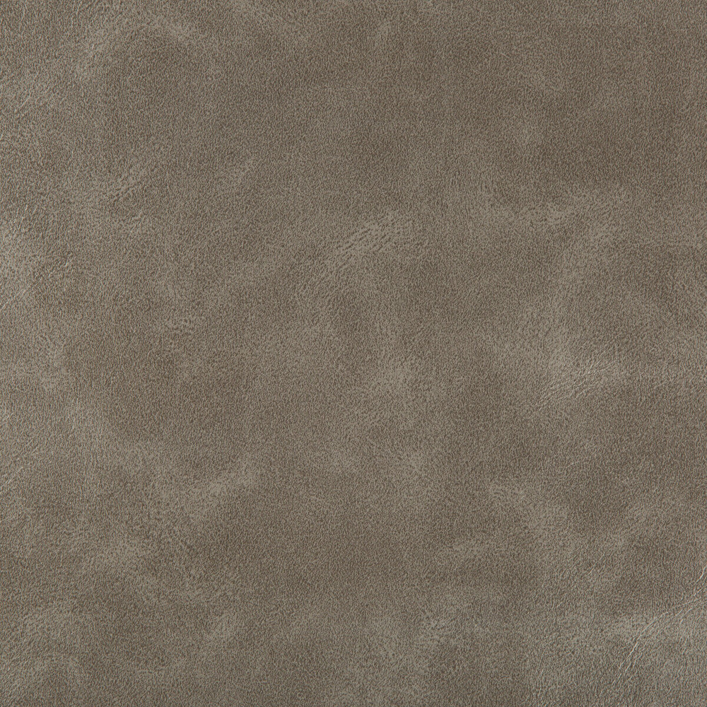 Seabiscuit-1621 by Kravet Design Fabric POLY VINYL CHLORIDE - 90%;POLYURETHANE - 10% China HEAVY Horizontal: 0 and Vertical: 0 54 - Fabric Carolina -