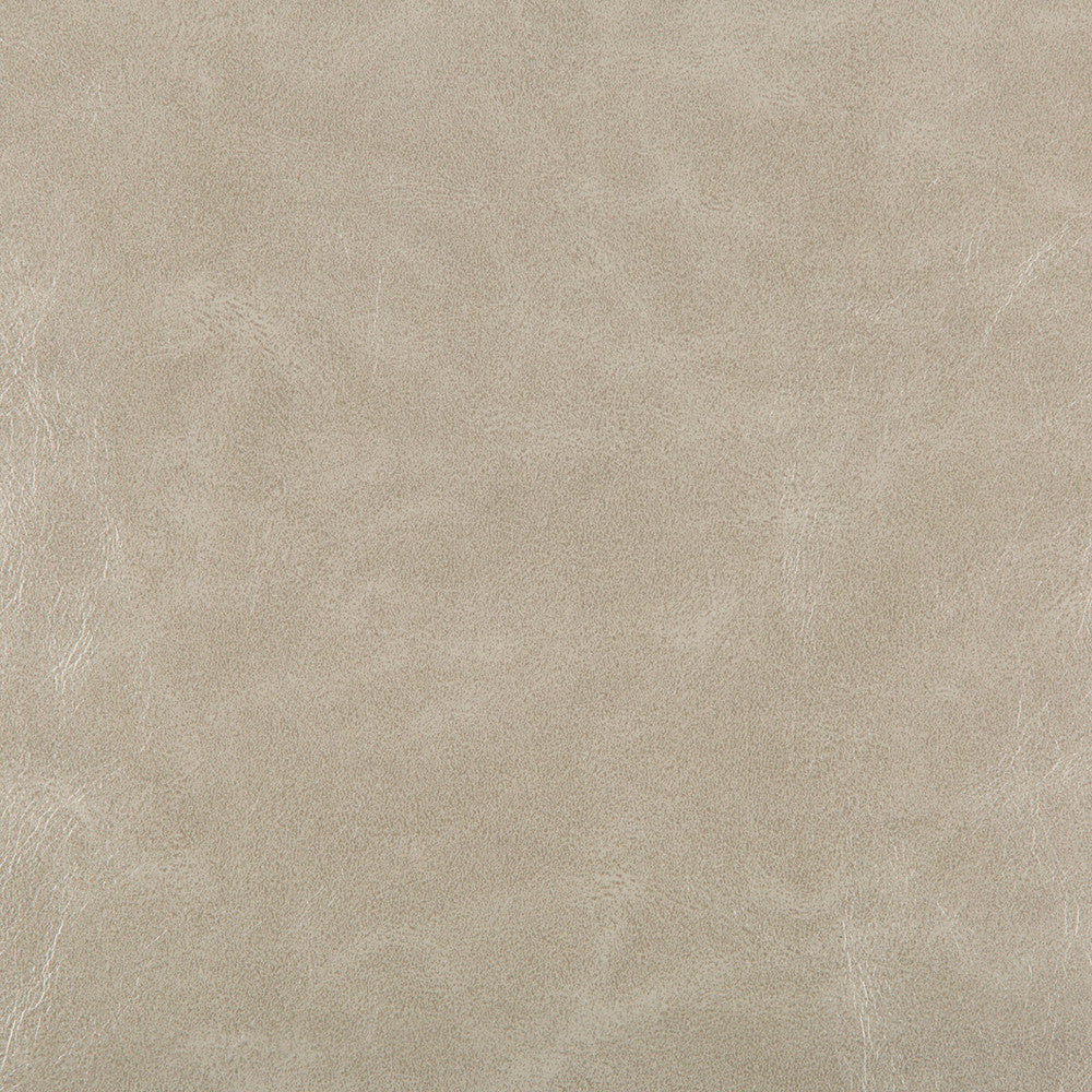 Seabiscuit-16 by Kravet Design Fabric POLY VINYL CHLORIDE - 90%;POLYURETHANE - 10% China HEAVY Horizontal: 0 and Vertical: 0 54 - Fabric Carolina -