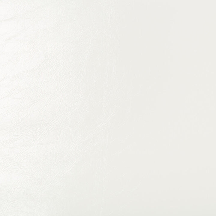 Seabiscuit-1 by Kravet Design Fabric - POLY VINYL CHLORIDE - 90%;POLYURETHANE - 10% China HEAVY Horizontal: 0 and Vertical: 0 54 - Fabric Carolina -