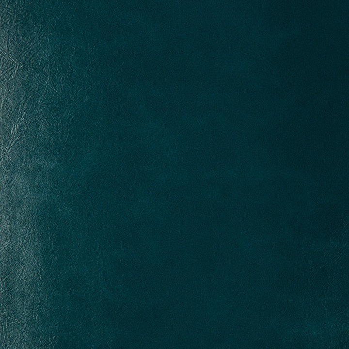 Seabiscuit-35 by Kravet Design Fabric POLY VINYL CHLORIDE - 90%;POLYURETHANE - 10% China HEAVY Horizontal: 0 and Vertical: 0 54 - Fabric Carolina -