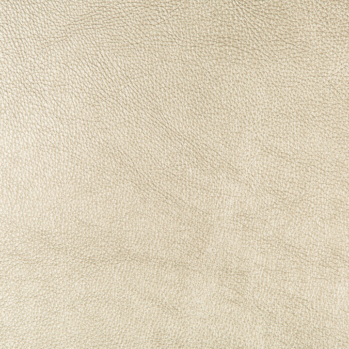 Secretariat 14 by Kravet Design Fabric - POLY VINYL CHLORIDE - 90%;POLYURETHANE - 10% China HEAVY Horizontal: 0 and Vertical: 0 54 - Fabric Carolina -