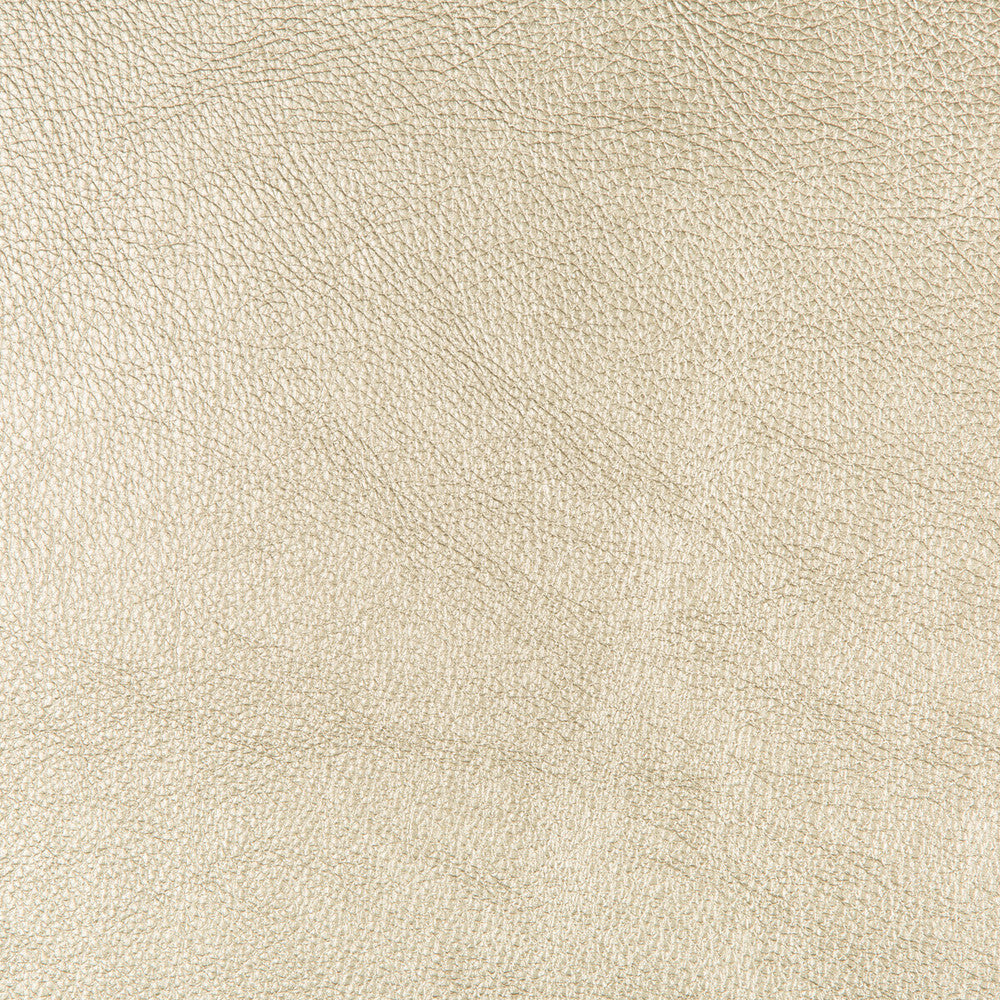 Secretariat 14 by Kravet Design Fabric POLY VINYL CHLORIDE - 90%;POLYURETHANE - 10% China HEAVY Horizontal: 0 and Vertical: 0 54 - Fabric Carolina -