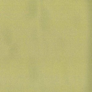 Sedley Cactus by Norbar Fabric SEDLEY 60% COTTON 40% POLYESTER TAIWAN 9,000 WYZENBEEK </p><p>Repeat: 56 - Fabric Carolina -