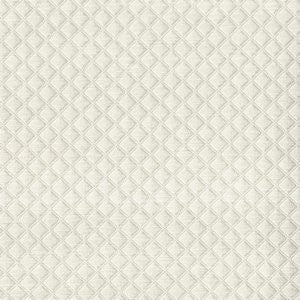 Selma Ecru 221 by Norbar Fabric Color/NEUTRAL-NATURAL 100% POLYESTER CHINA 48,000 WYZENBEEK 3/4"V 1/2"H 55 - Fabric Carolina -