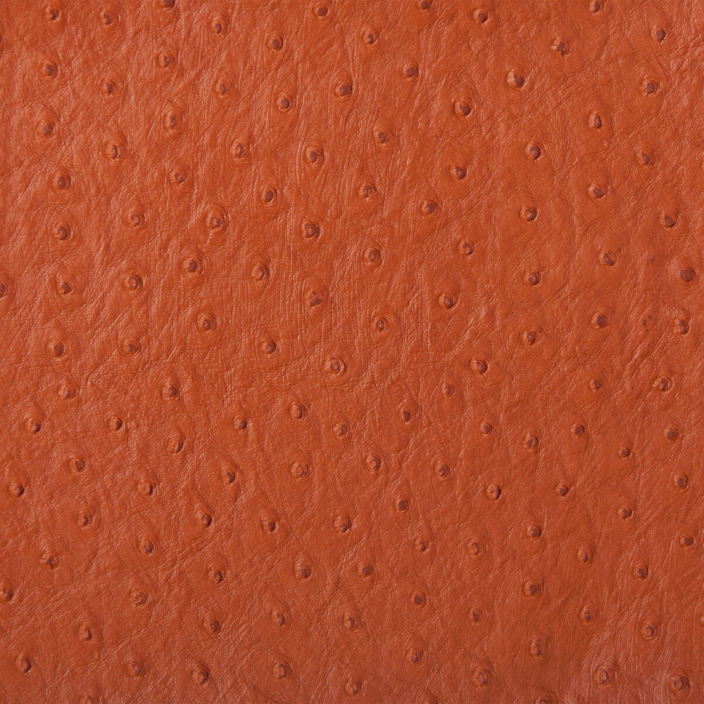 Kravet Design Senna-124 by Kravet Design Fabric Kravet Design Fabric Kravet Design Senna-124Fabric POLY VINYL CHLORIDE - 75%;POLYESTER - 16%;COTTON - 9% Korea, Republic of </p><p>Repeat: H: 0, V: 0 54 - Fabric Carolina -