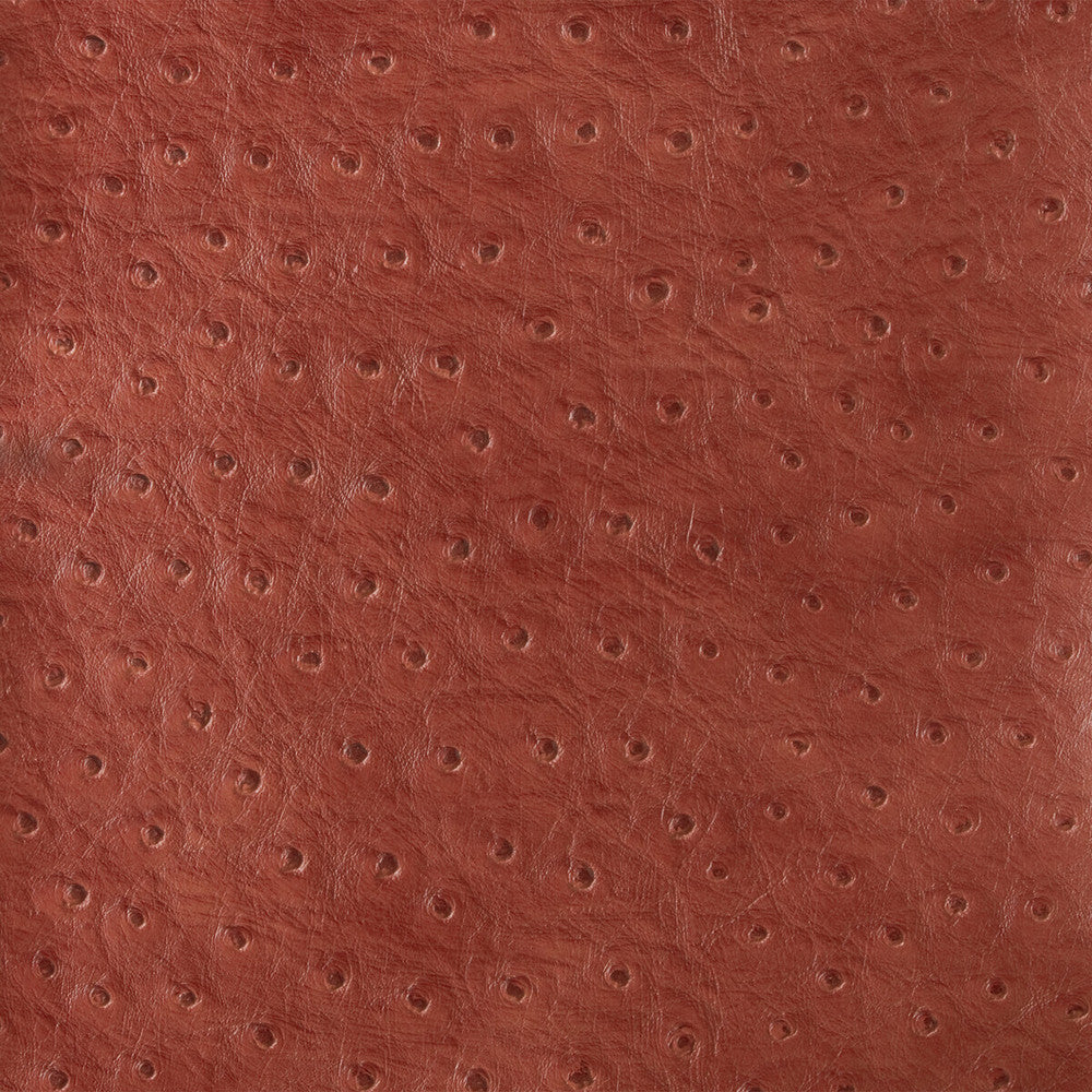 Senna-19 by Kravet Design Fabric - POLY VINYL CHLORIDE - 75%;POLYESTER - 16%;COTTON - 9% Korea, Republic of HEAVY Horizontal: 0 and Vertical: 0 54 - Fabric Carolina -