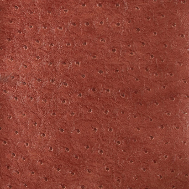 Senna-19 by Kravet Design Fabric POLY VINYL CHLORIDE - 75%;POLYESTER - 16%;COTTON - 9% Korea, Republic of HEAVY Horizontal: 0 and Vertical: 0 54 - Fabric Carolina -