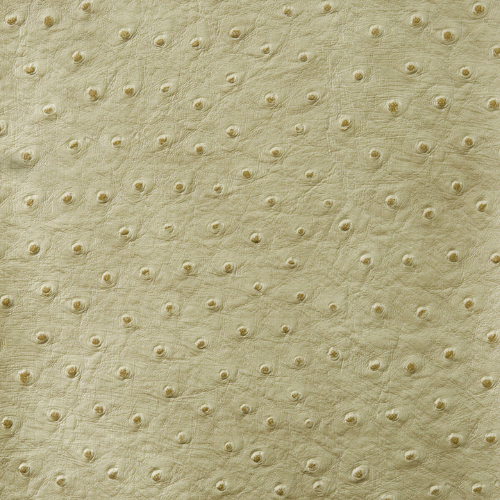Senna-30 by Kravet Design Fabric POLY VINYL CHLORIDE - 75%;POLYESTER - 16%;COTTON - 9% Korea, Republic of HEAVY Horizontal: 0 and Vertical: 0 54 - Fabric Carolina -