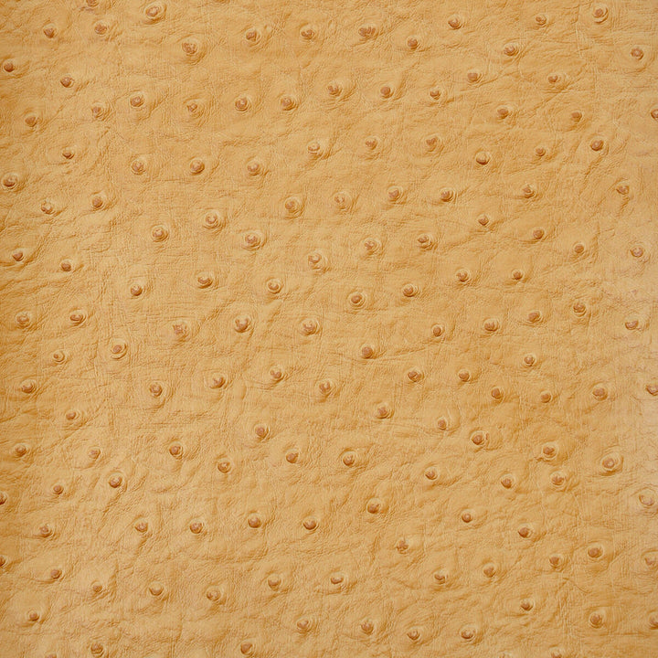 Senna-414 by Kravet Design Fabric POLY VINYL CHLORIDE - 75%;POLYESTER - 16%;COTTON - 9% Korea, Republic of HEAVY Horizontal: 0 and Vertical: 0 54 - Fabric Carolina -