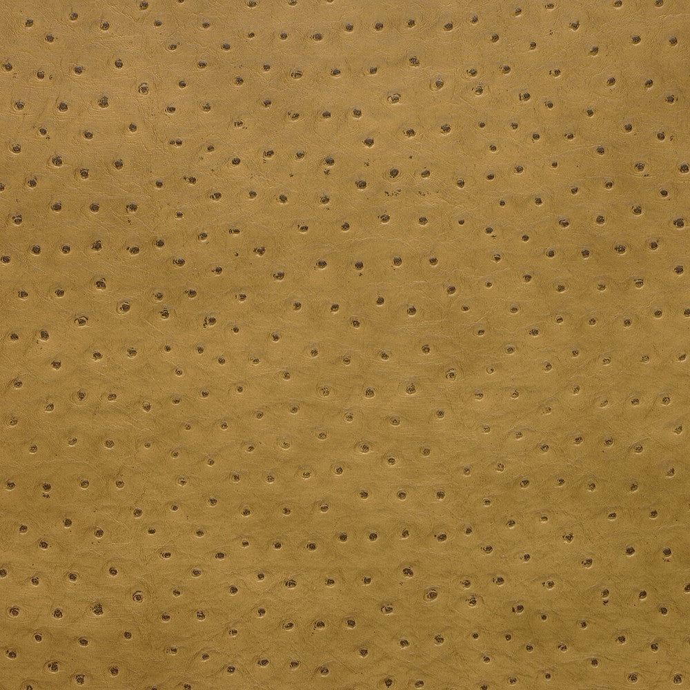 Senna-4 by Kravet Design Fabric - POLY VINYL CHLORIDE - 75%;POLYESTER - 16%;COTTON - 9% Korea, Republic of HEAVY Horizontal: 0 and Vertical: 0 54 - Fabric Carolina -