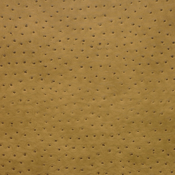 Senna-4 by Kravet Design Fabric POLY VINYL CHLORIDE - 75%;POLYESTER - 16%;COTTON - 9% Korea, Republic of HEAVY Horizontal: 0 and Vertical: 0 54 - Fabric Carolina -