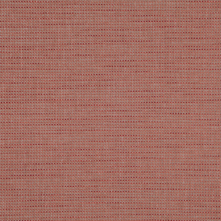 Sentence 42J8321 by JF Fabric Justice Fibrguard 66% Polyester, 33% Acrylic, 1% Viscose Turkey 95000 Horizontal: and Vertical: 56 - Fabric Carolina -