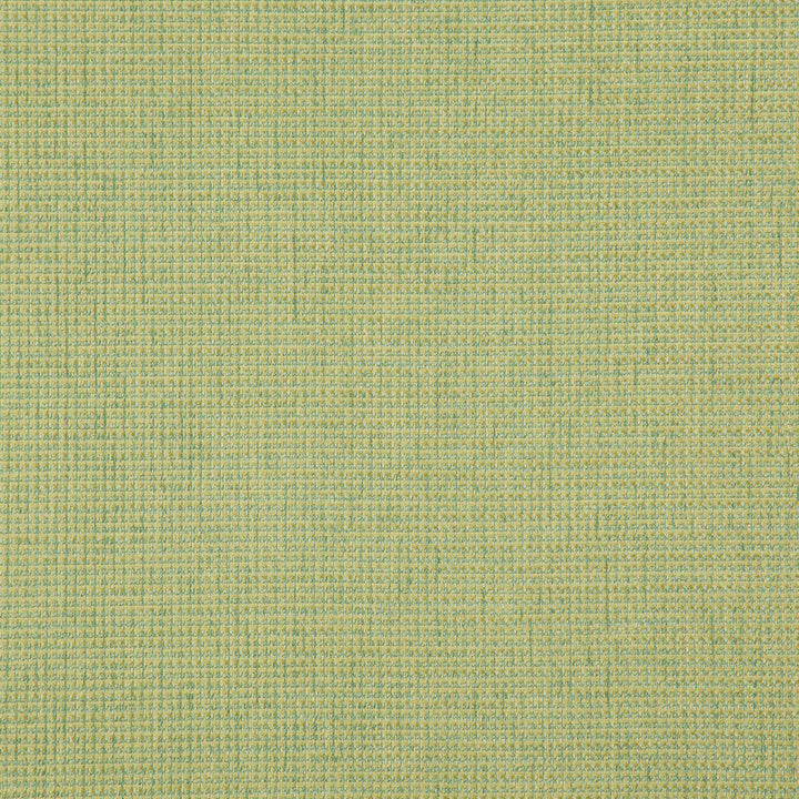 SENTENCE 73J8321 by JF Fabric Justice Fibrguard 66% Polyester, 33% Acrylic, 1% Viscose Turkey Horizontal: and Vertical: 56 - Fabric Carolina -