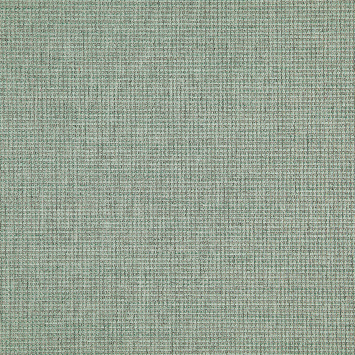 Sentence 74J8321 by JF Fabric Justice Fibrguard 66% Polyester, 33% Acrylic, 1% Viscose Turkey 95000 Horizontal: and Vertical: 56 - Fabric Carolina -