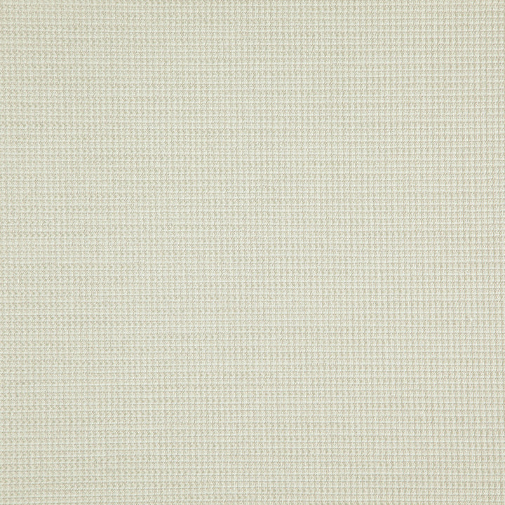 SENTENCE 91J8321 by JF Fabric Justice Fibrguard 66% Polyester, 33% Acrylic, 1% Viscose Turkey Horizontal: and Vertical: 56 - Fabric Carolina -