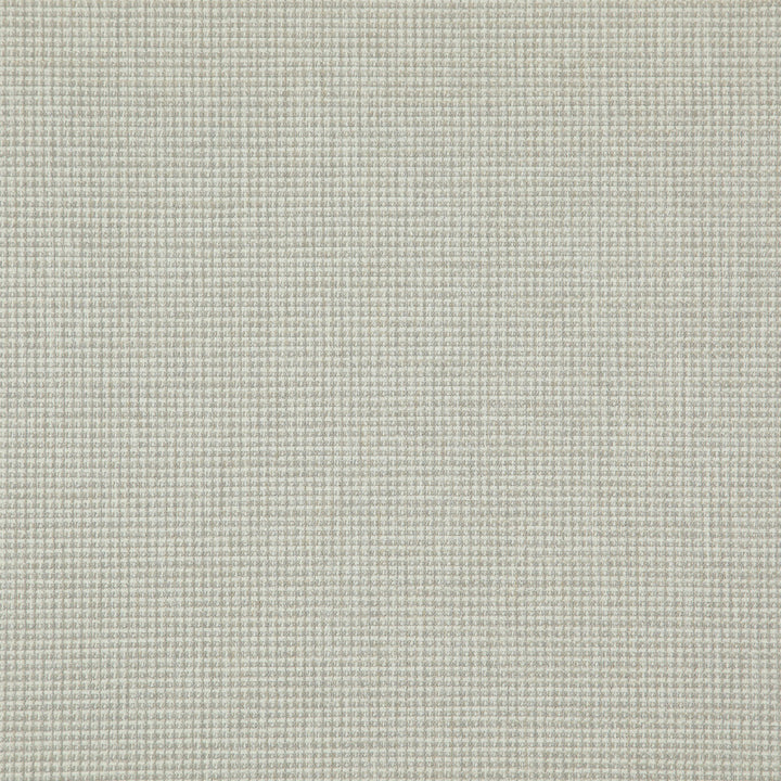 Sentence 93J8321 by JF Fabric Justice Fibrguard 66% Polyester, 33% Acrylic, 1% Viscose Turkey 95000 Horizontal: and Vertical: 56 - Fabric Carolina -
