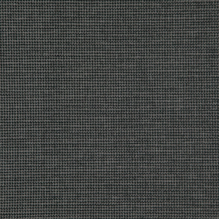 SENTENCE 98J8321 by JF Fabric Justice Fibrguard 66% Polyester, 33% Acrylic, 1% Viscose Turkey Horizontal: and Vertical: 56 - Fabric Carolina -