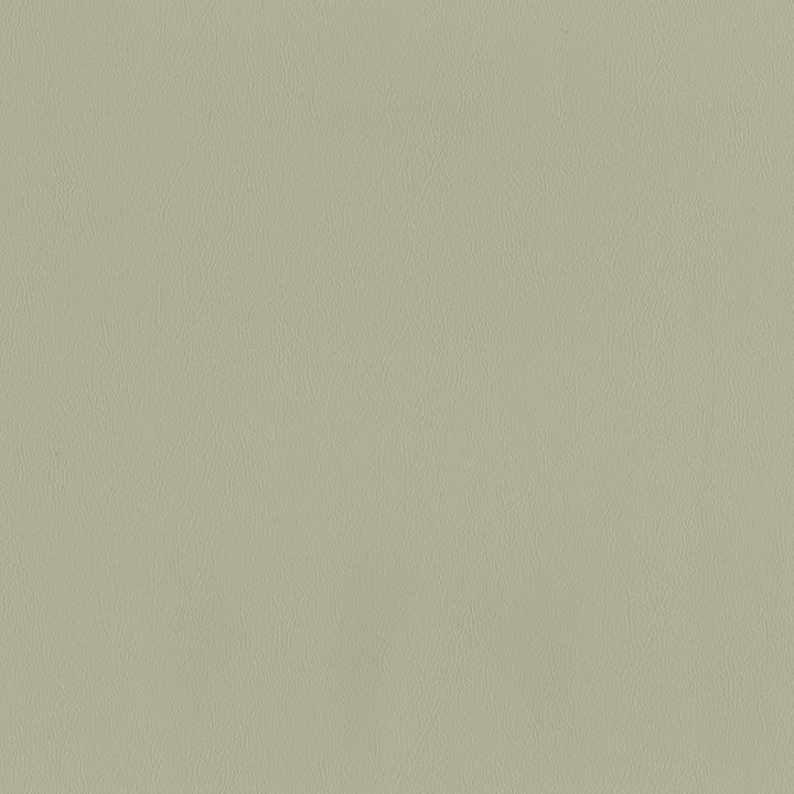 Sentinel Beige by Magnolia Designer Fabric Required Minimum Quantity Purchase: 2 yards Content: 100% PVC Origin: CHINA Performance: 1,500,000 WB Repeat: Horizontal: 0 and Vertical: 0 Width: 55" Uses: Contract, Upholstery