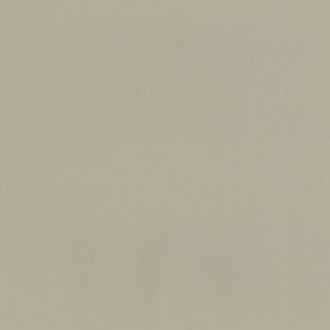 Sentinel Beige by Magnolia Designer Fabric