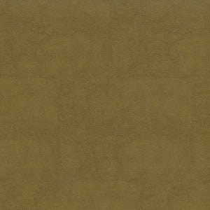 Sentinel Dune by Magnolia Designer Fabric