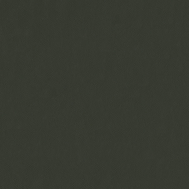 Sentinel Graphite by Magnolia Designer Fabric Required Minimum Quantity Purchase: 2 yards Content: 100% PVC Origin: CHINA Performance: 1,500,000 WB Repeat: Horizontal: 0 and Vertical: 0 Width: 55" Uses: Contract, Upholstery