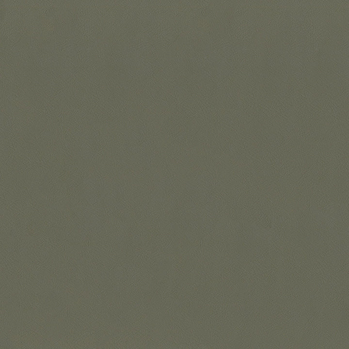 Sentinel Greystone by Magnolia Designer Fabric Required Minimum Quantity Purchase: 2 yards Content: 100% PVC Origin: CHINA Performance: 1,500,000 WB Repeat: Horizontal: 0 and Vertical: 0 Width: 55" Uses: Contract, Upholstery