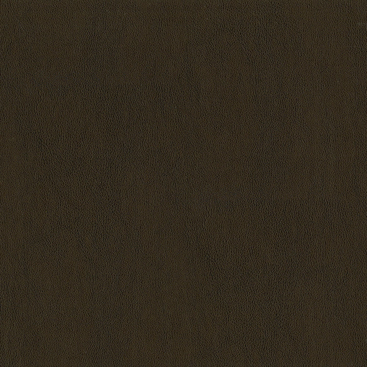 Sentinel Java by Magnolia Designer Fabric Required Minimum Quantity Purchase: 2 yards Content: 100% PVC Origin: CHINA Performance: 1,500,000 WB Repeat: Horizontal: 0 and Vertical: 0 Width: 55" Uses: Contract, Upholstery
