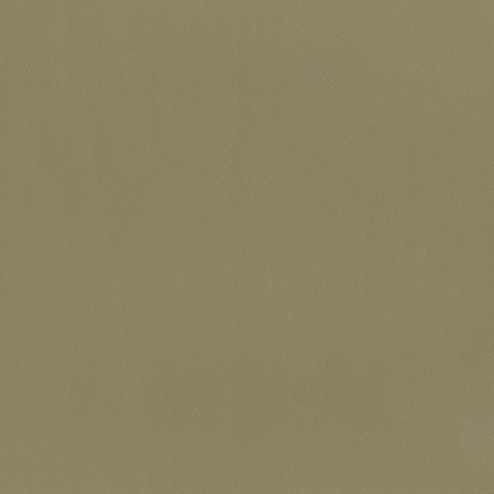 Sentinel Mushroom by Magnolia Designer Fabric Required Minimum Quantity Purchase: 2 yards Content: 100% PVC Origin: CHINA Performance: 1,500,000 WB Repeat: Horizontal: 0 and Vertical: 0 Width: 55" Uses: Contract, Upholstery