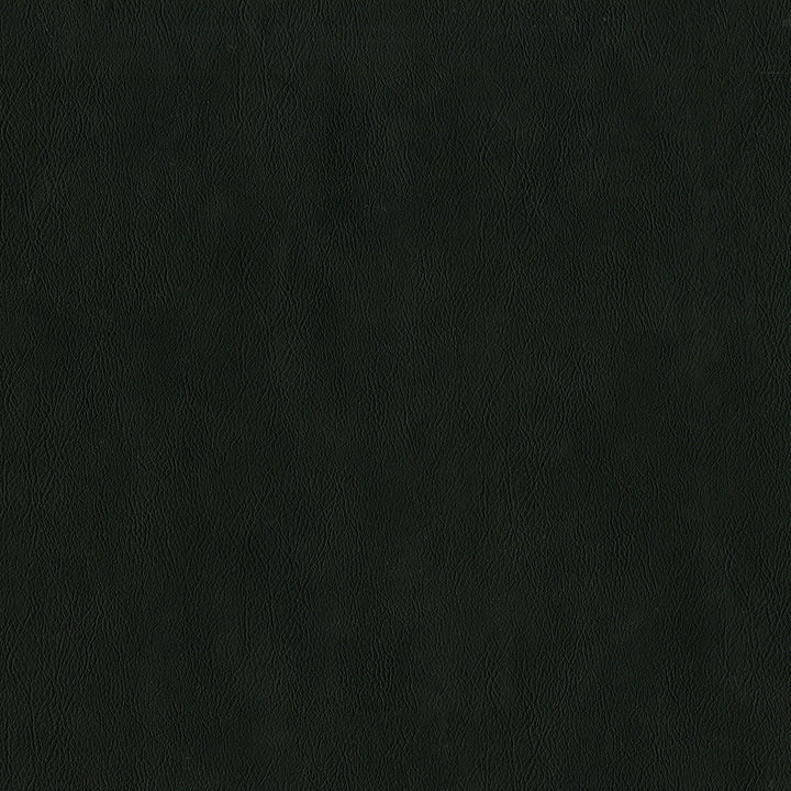 Sentinel Noir by Magnolia Designer Fabric Required Minimum Quantity Purchase: 2 yards Content: 100% PVC Origin: CHINA Performance: 1,500,000 WB Repeat: Horizontal: 0 and Vertical: 0 Width: 55" Uses: Contract, Upholstery