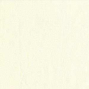 Sentinel Oyster by Magnolia Designer Fabric