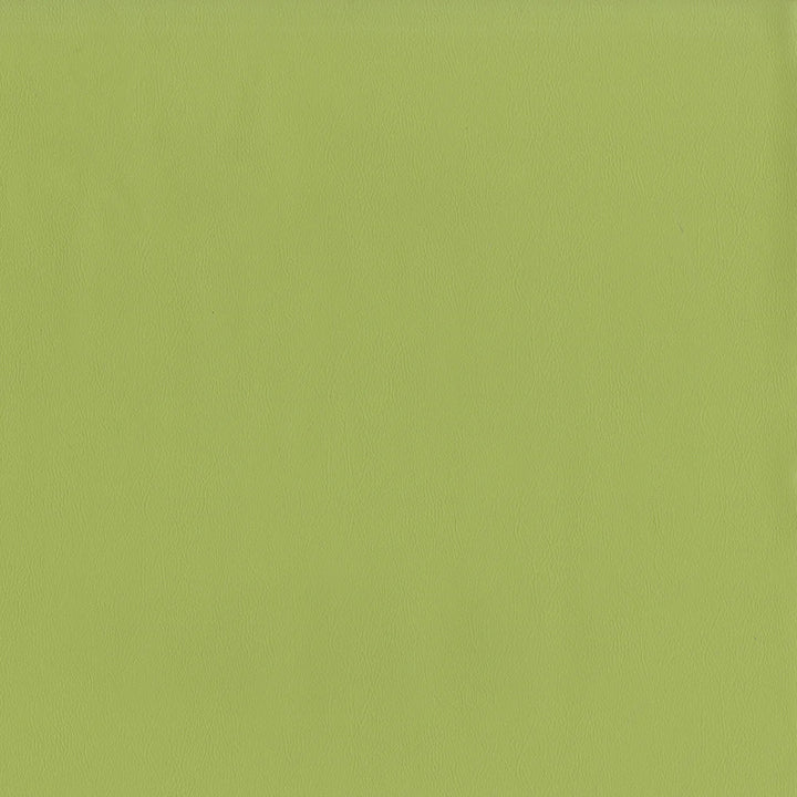 Sentinel Pistachio by Magnolia Designer Fabric Required Minimum Quantity Purchase: 2 yards Content: 100% PVC Origin: CHINA Performance: 1,500,000 WB Repeat: Horizontal: 0 and Vertical: 0 Width: 55" Uses: Contract, Upholstery