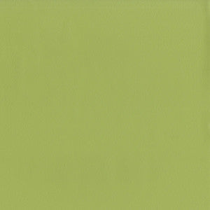 Sentinel Pistachio by Magnolia Designer Fabric