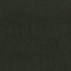 Sentinel Shadow by Magnolia Designer Fabric