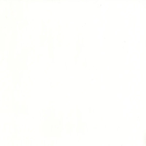 Sentinel Snow by Magnolia Designer Fabric
