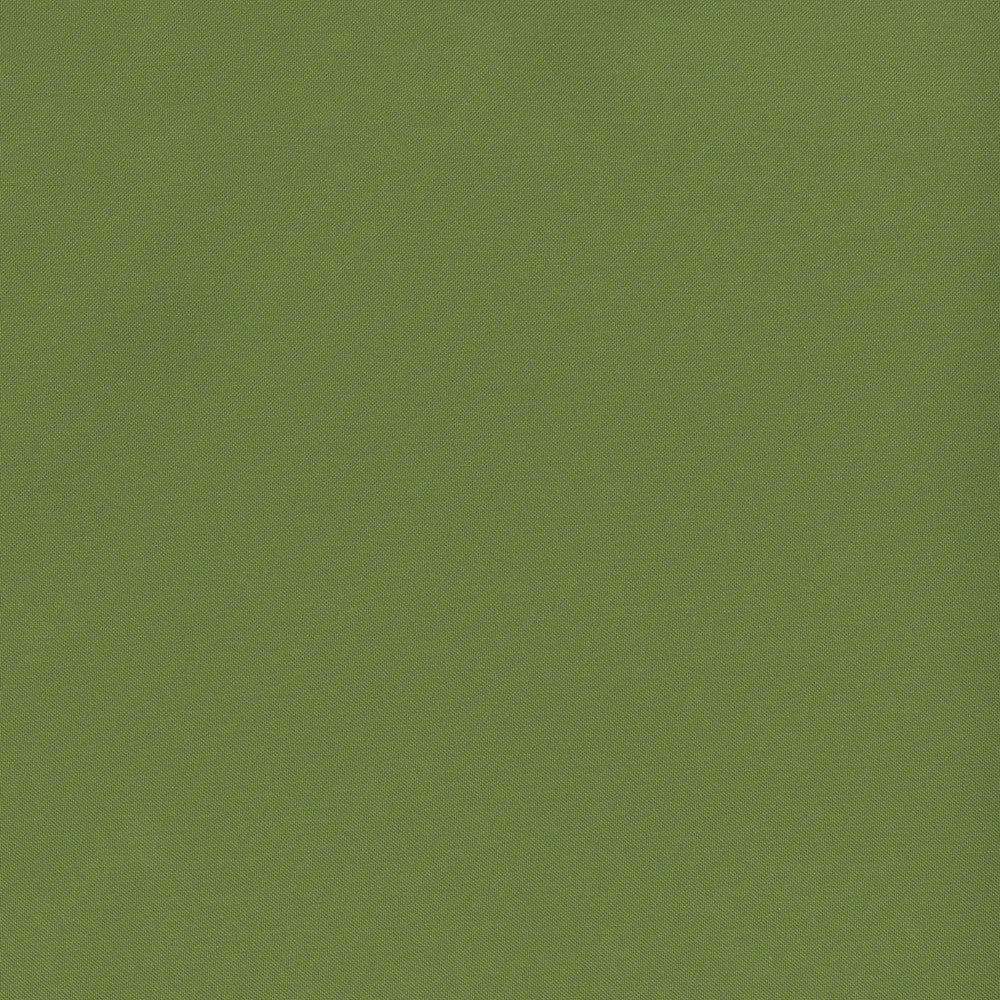 Banks 21 Fern by SolarShade Fabric 100% Solution Dyed Polyester CN 150,000 Double Rubs (Wyzenbeek) </p><p>Repeat: Horizontal: and Vertical: 54 in. (137 cm) - Fabric Carolina -