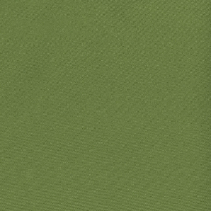 Banks 21 Fern by SolarShade Fabric 100% Solution Dyed Polyester CN 150,000 Double Rubs (Wyzenbeek) </p><p>Repeat: Horizontal: and Vertical: 54 in. (137 cm) - Fabric Carolina -