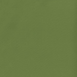 Banks 21 Fern by SolarShade Fabric