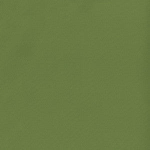 Banks 21 Fern by SolarShade Fabric