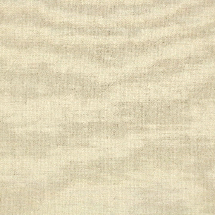 Service 1 Sand by Stout Fabric COMFORTABLE LIVING FAWN/SHELL 55%LIN 45%COT CHINA FLAME RETARDANT-CA BULLETIN 117-SECTION E FLAME RETARDANT-U.F.A.C. CLASS 1 WYZENBEEK 30 000 DOUBLE RUB WEAR TEST (HEAVY DUTY) Horizontal: 0 and Vertical: 0 54 in - Fabric Carolina -