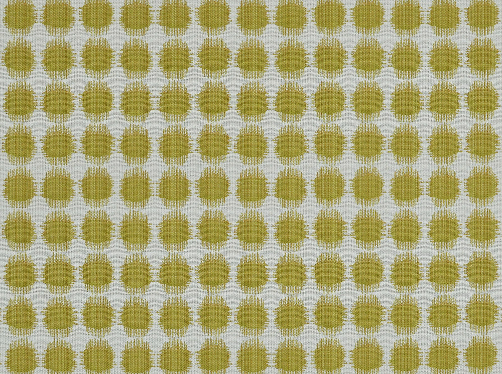 Sesto 244 Acid Green by Covington Designer Fabric Covington Right 21.66 32.49 0 0 by product