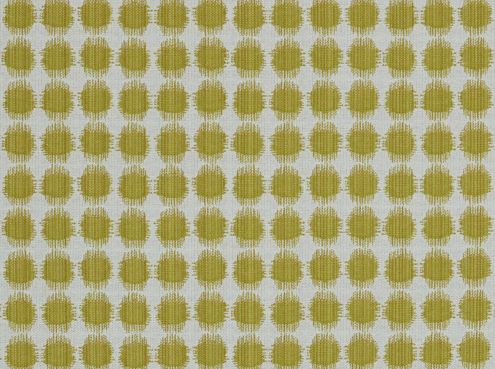 Sesto 244 Acid Green by Covington Designer Fabric Covington Right 21.66 32.49 0 0 by product