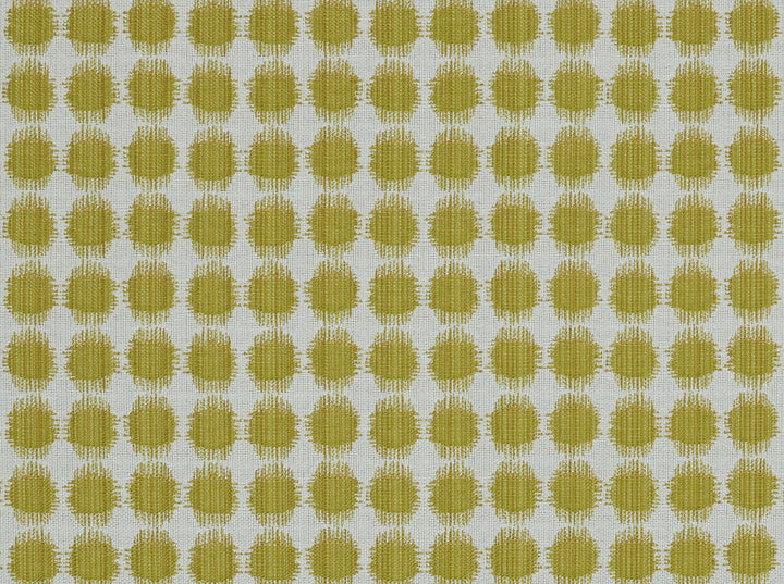 Sesto 244 Acid Green by Covington Fabric 51% COTTON 49% POLY China 50,000+ Horizontal: 1.2 and Vertical: 1.38 56 - Fabric Carolina -