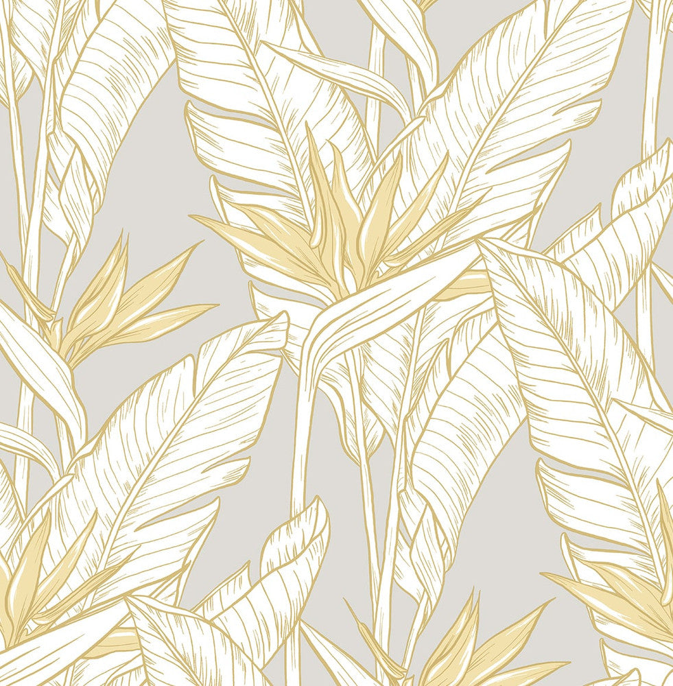 Birds of Paradise Grey & Metallic Gold by Seabrook Wallpaper Stacy Garcia Peel and Stick United States 30.75 20.87" 20.5" - Fabric Carolina -